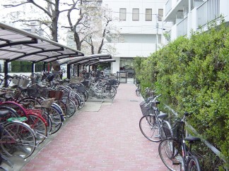 自転車が溢れた歩道・駐輪場を改善